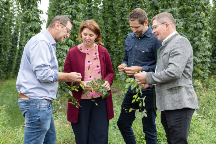 v.l.: Obmann Mühlviertler Hopfenbaugenossenschaft Stefan Hofer, Agrar-Landesrätin Michaela Langer-Weninger, Geschäftsführer Mühlviertler Hopfenbaugenossenschaft Manuel Starlinger und Obmann Bezirksbauernkammer Rohrbach Martin Mairhofer