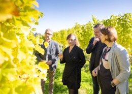 v.l.: LK OÖ Präsident Franz Waldenberger, Winzerin Irene Wurm, Oö. Weinbaupräsident Leo Gmeiner und Agrar-Landesrätin Michaela Langer-Weninger