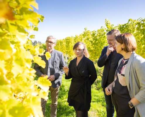 v.l.: LK OÖ Präsident Franz Waldenberger, Winzerin Irene Wurm, Oö. Weinbaupräsident Leo Gmeiner und Agrar-Landesrätin Michaela Langer-Weninger