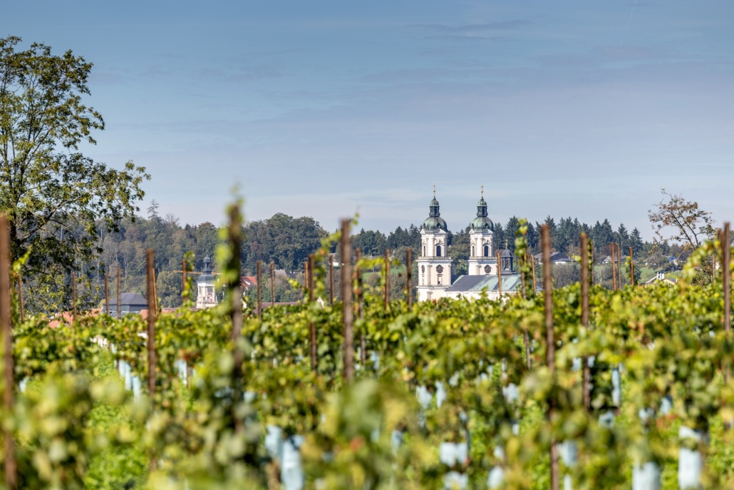 Oberösterreich - ein aufstrebendes Weinland mit Geschmack